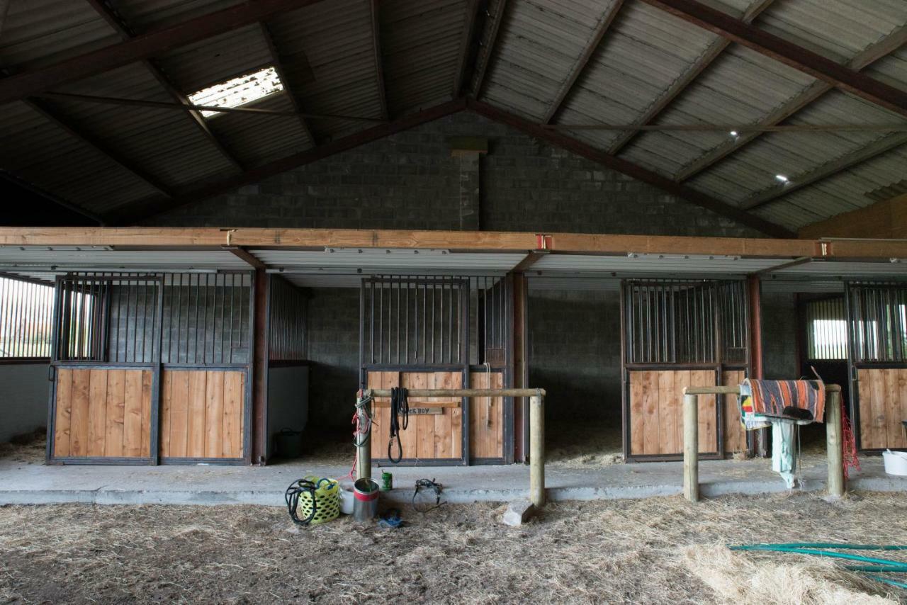 Boeren Biezen Bed Landelijk Exterior photo