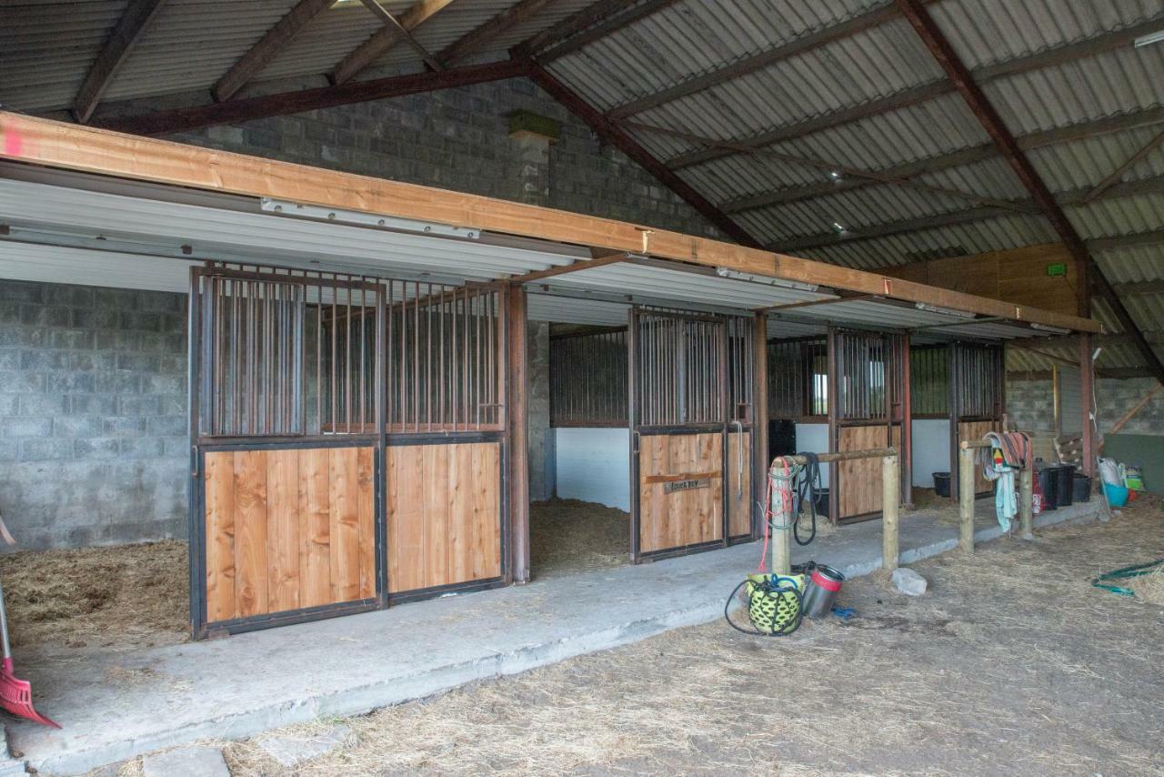Boeren Biezen Bed Landelijk Exterior photo