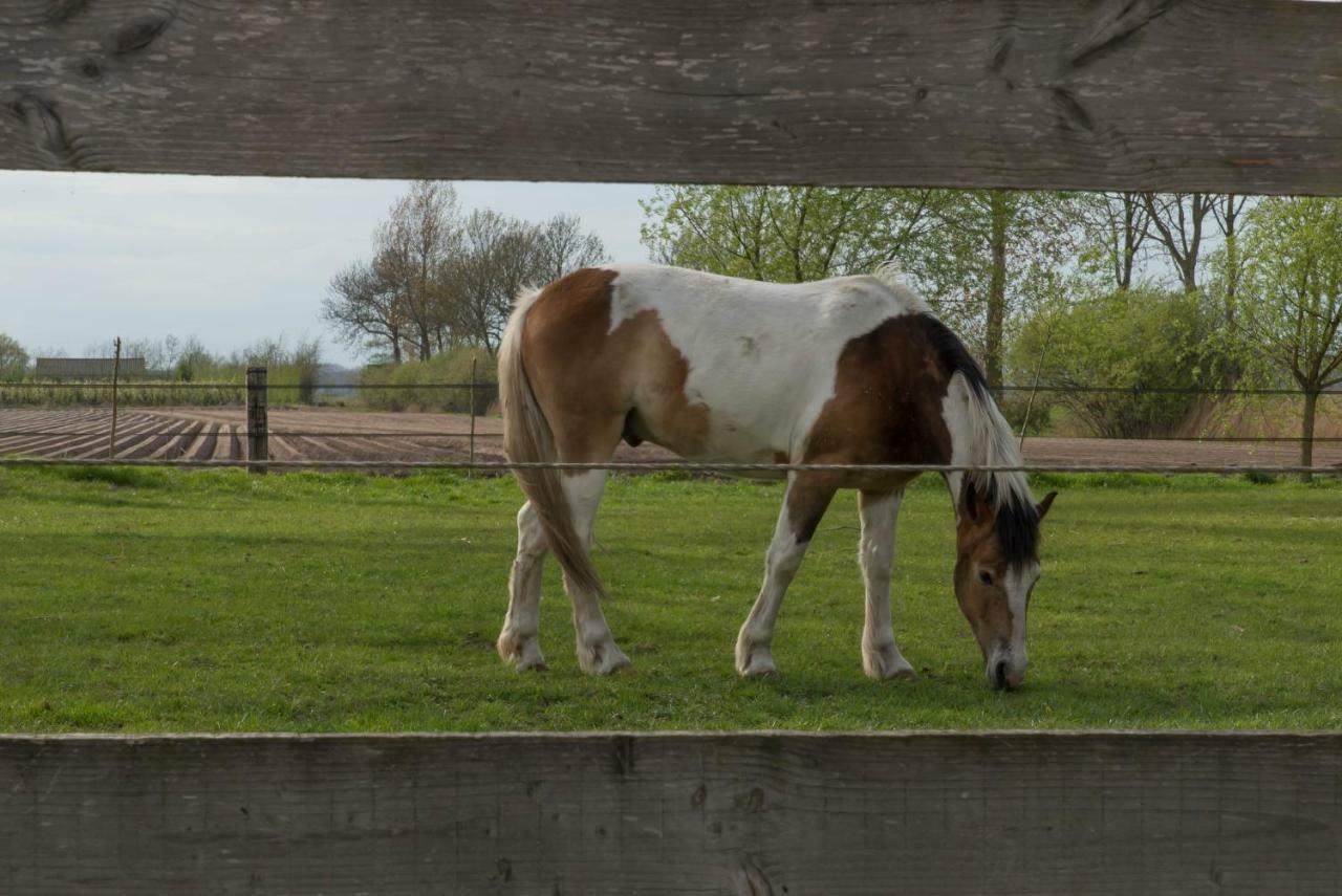 Boeren Biezen Bed Landelijk Exterior photo