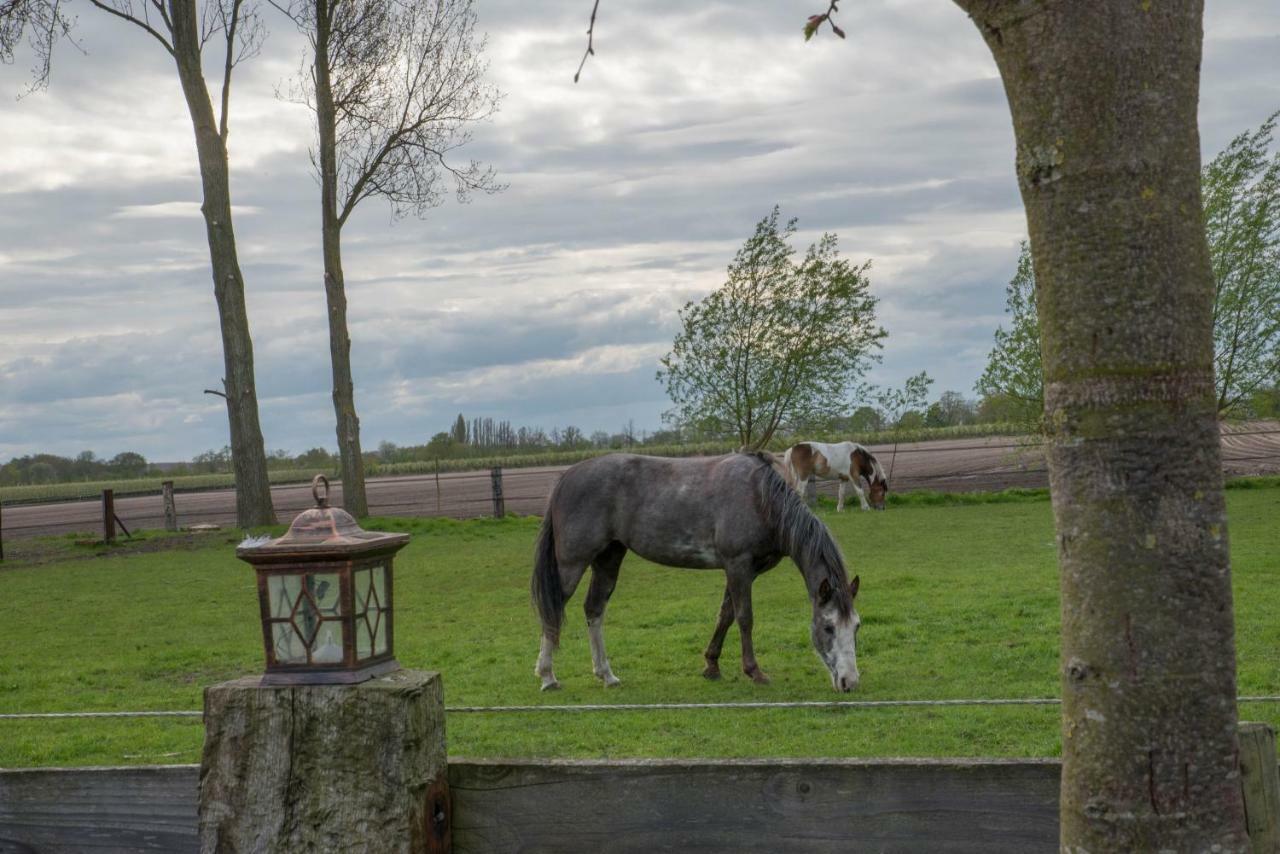 Boeren Biezen Bed Landelijk Exterior photo