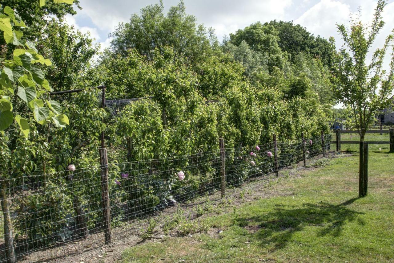 Boeren Biezen Bed Landelijk Exterior photo